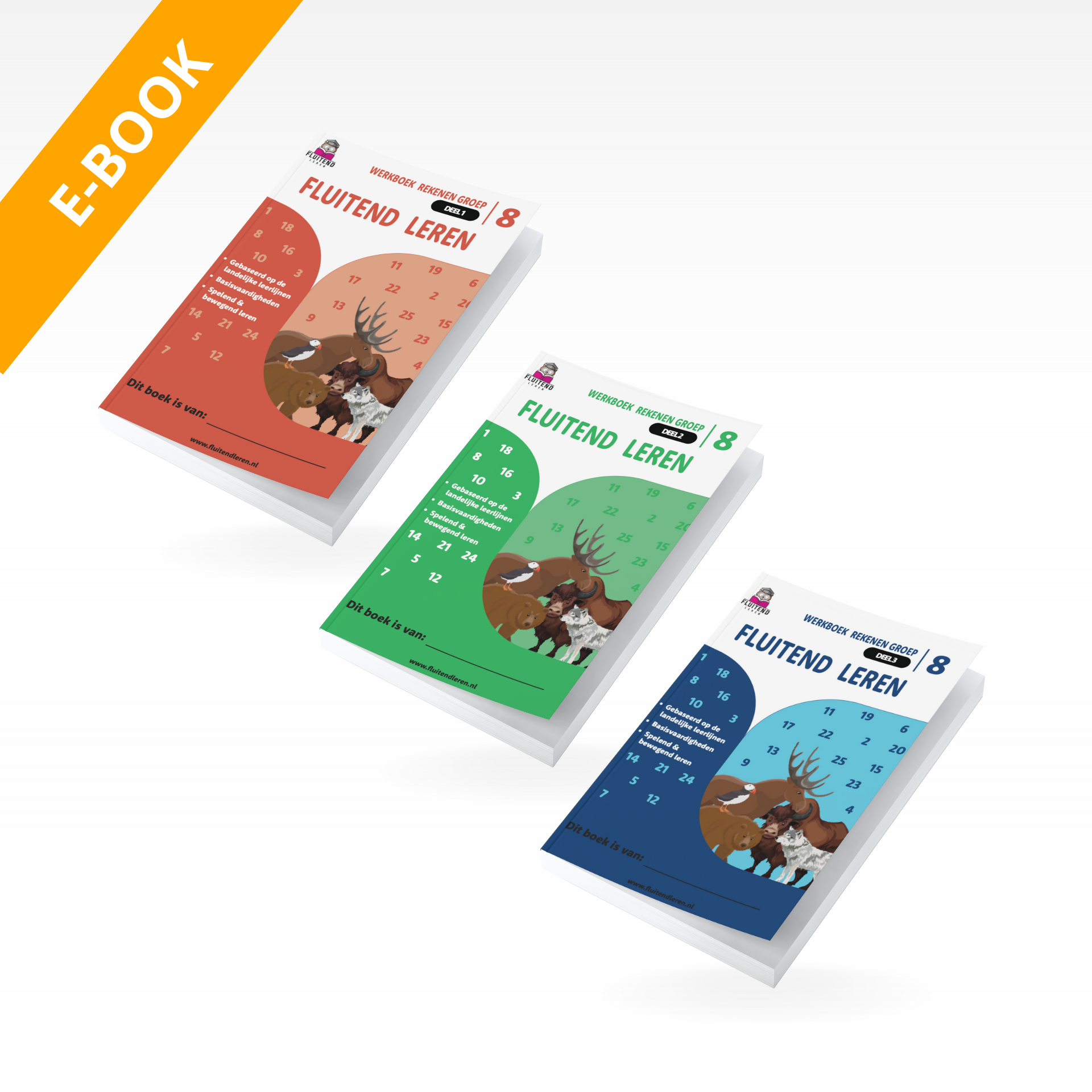 Groep 8 - Rekenen (e-books)